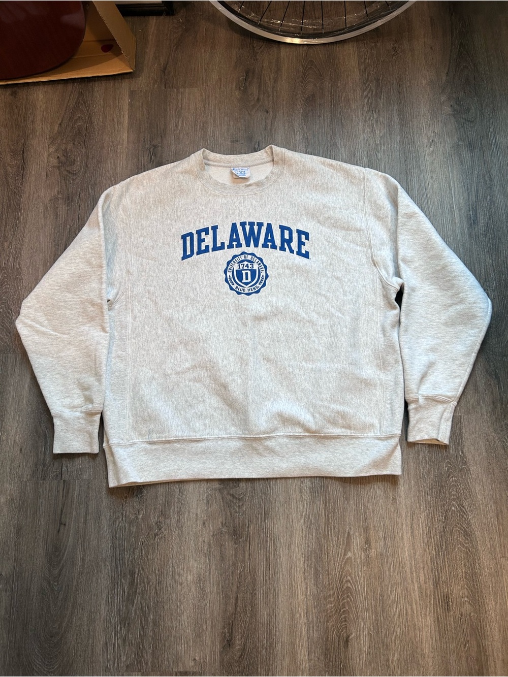 Vintage Champion Reverse Weave University of Delaware "Fightin' Blue Hens" Sz XL